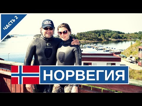 Видео: Подводная охота в Норвегии. Как охотится чемпион Норвегии?