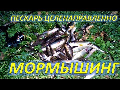 Видео: ПЕСКАРЬ НА СПИННИНГ ЦЕЛЕНАПРАВЛЕННО