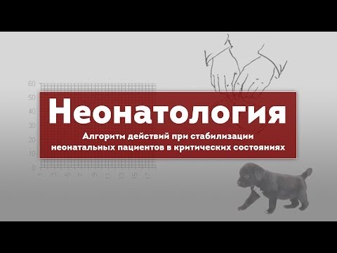 Видео: Алгоритм действий при стабилизации неонатальных пациентов в критических состояниях