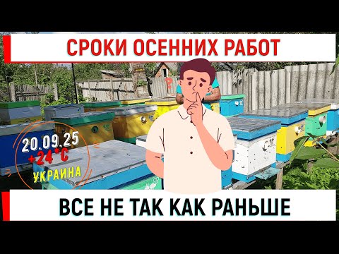 Видео: Сроки осенних работ. Все не так как раньше. Моя технология.