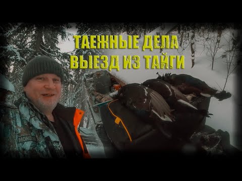 Видео: Дела в тайге добыл косачей