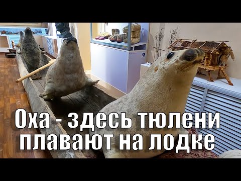 Видео: День в Охе. Краеведческий музей и парк