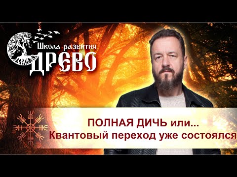 Видео: ПОЛНАЯ ДИЧЬ или Квантовый переход уже состоялся