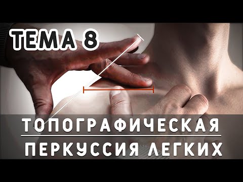 Видео: Тема 8. Топографическая перкуссия легких