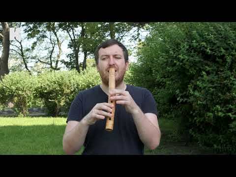 Видео: 11 духових інструментів. Максим Бережнюк. (традиційна культура, фольклор)