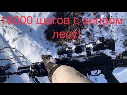 Видео: Вепрь впо 129 и 16000 шагов зимой по сопкам! Тяжело или …???