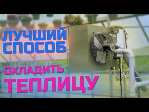 Видео: Жара в теплице? Какие самые лучшие и эффективные способы охладить теплицу летом?