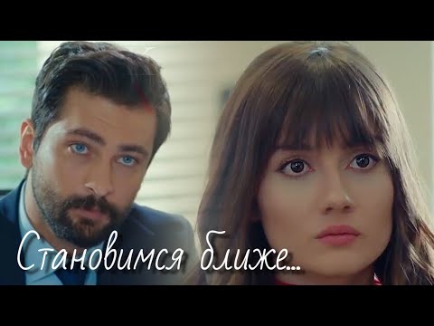 Видео: Алихан и Зейнеп / Alihan ve Zeynep - Становимся ближе...