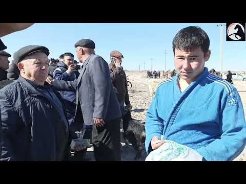 Видео: 03 03 2023 Конырат Канагат келин той