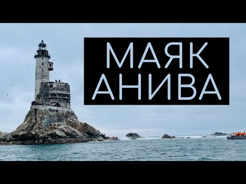 Видео: Экскурсия на МАЯК АНИВА: дикая природа Сахалина