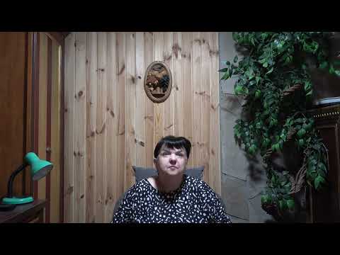 Видео: НАСТРОЕНИЕ ДНЯ ОТ МАЭСТРО МАЖОР С 4 НОЯБРЯ ПО 10 НОЯБРЯ 2024