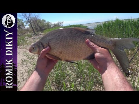 Видео: Весенняя рыбалка как она есть. Май 2021г.