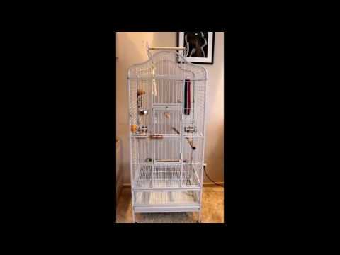 Видео: ОБЗОР ВОЛЬЕРА-КЛЕТКИ для попугая (Triol BC14)