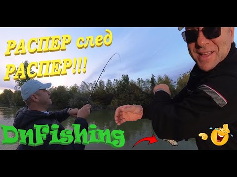 Видео: РАСПЕР след РАСПЕР !!! Дунавските распери ! Asp fishing Dunabe River !