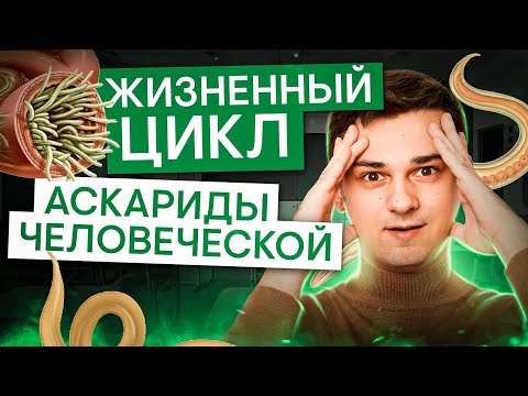 Видео: Жизненный цикл аскариды человеческой | Биология с Мишей Гис | ЕГЭ 2025 | СМИТАП