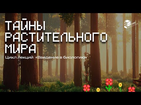 Видео: Тайны растений | Лекция по биологии в Minecraft | Введение в биологию | MindCube Академия