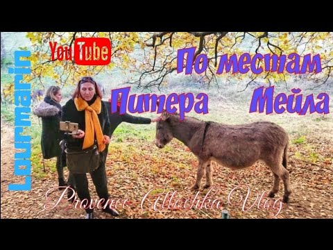 Видео: Прованс/Предновогодняя тусовка с подружками /По местам Питера Мейла/provenceallochka vlog