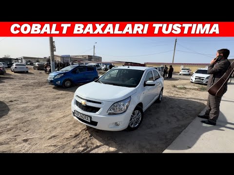 Видео: КОБАЛТ БАХАЛАРЫ ТУСТИМА КОРЕМИЗ