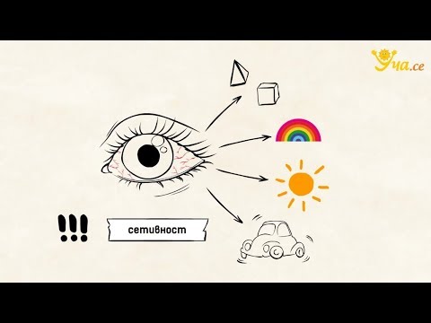 Видео: Уча.се - Зрителна сетивна система - 8. клас