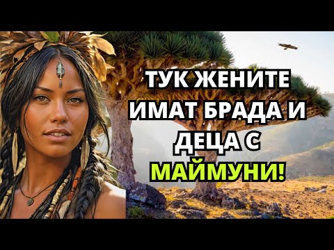 Видео: Такъв е животът в СОКОТРА, островът с най-СТРАННИТЕ жени в СВЕТА!