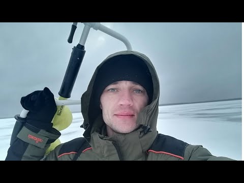 Видео: С блесной на окуня в глухозимье! Ловим окуня, судака и щуку!