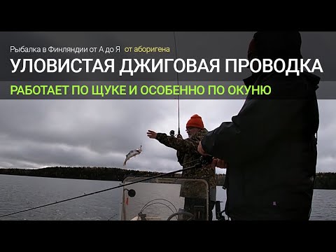 Видео: Уловистая джиговая проводка или как поймать много окуня?