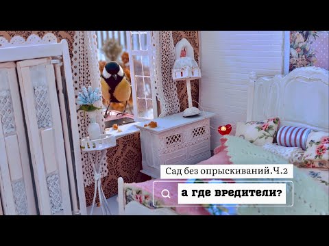 Видео: Почему не нужно опрыскивать деревья? Ч 2. Вредители