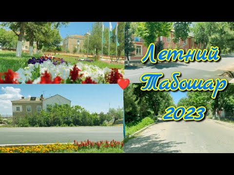 Видео: Летний Табошар 2023