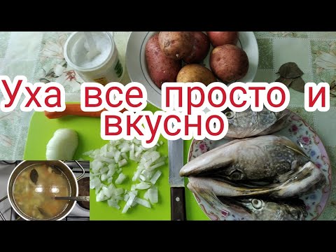 Видео: Уха из щучьих голов и хвостов уха вкусно просто рецепт супер