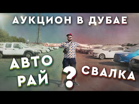 Видео: АУКЦИОН в ДУБАЙ | Автомобильный рай для перекупа или свалка?