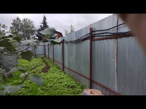 Видео: Красота