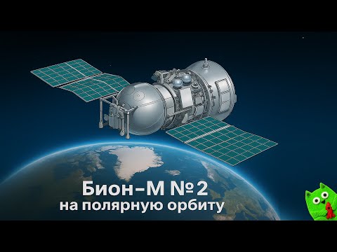 Видео: Биоспутник по маршруту РОС