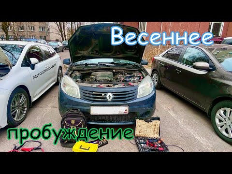 Видео: Renault Sandero: 3 месяца не могли запустить двигатель.