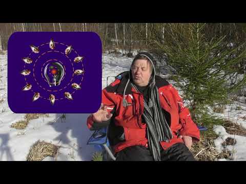 Видео: ЧК МИФ 5 2 04 00 L2  Интерференция фотонов