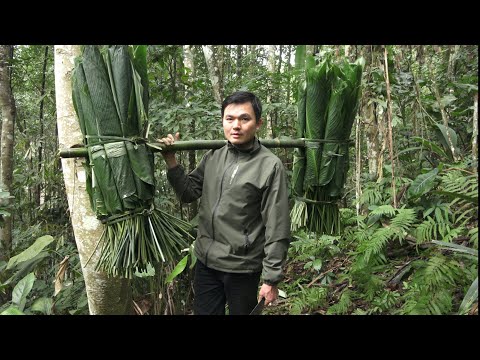Видео: Из листьев.  Я зарабатываю много денег и готовлю вкусные торты.  Зеленая лесная жизнь