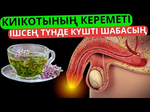 Видео: Төсекте айғыр болғың келсе осы шайды іш киікоты шөбінің пайдасы