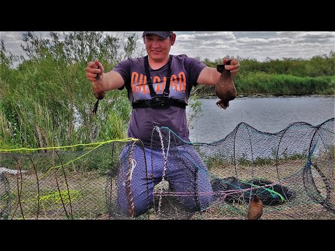 Видео: ТВОРОГ- ХЛЕБ в Мордушки! Щука топит бутылки! коптим ЛИНЯ ЩУКУ на костре!