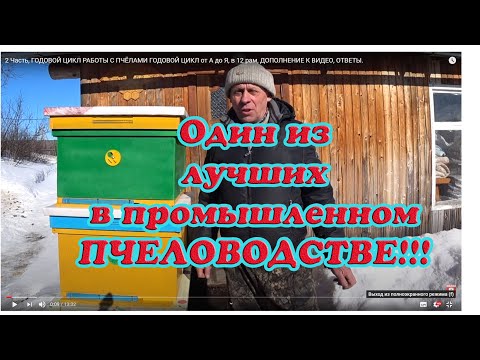 Видео: 2 Часть, ГОДОВОЙ ЦИКЛ РАБОТЫ С ПЧЁЛАМИ от А до Я, в 12 рамочном улье, ДОПОЛНЕНИЕ К ВИДЕО, ОТВЕТЫ.