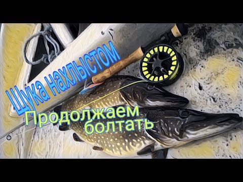 Видео: Щука нахлыстом.Продолжаем болтать.