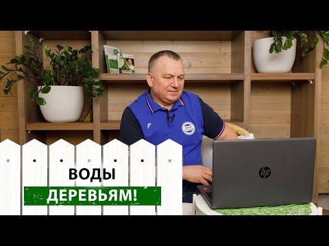 Видео: ВОДЫ ДЕРЕВЬЯМ! Чтобы ваш сад был ЗДОРОВЫМ и ПЛОДОРОДНЫМ