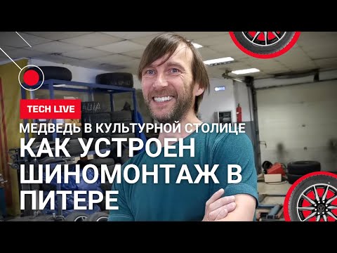 Видео: 1 серия. Как устроен шиномонтаж в Питере. Вся правда. Делимся знаниями. Медведь в Культурной столице