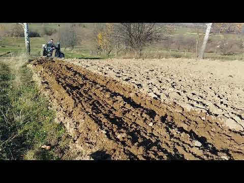 Видео: Посів пшениці 