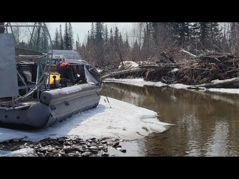 Видео: Амыл весной перед запретом.