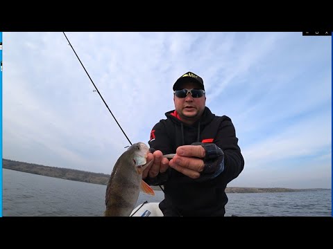 Видео: ОКУНЬ СЪЕЛ ЭТО ВМЕСТЕ С ПРИМАНКОЙ...РЫБАЛКА НА СПИННИНГ