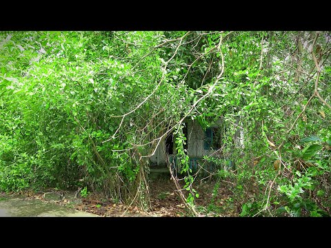 Видео: Помощь бедным соседям в уборке домов милосердия для бездомных