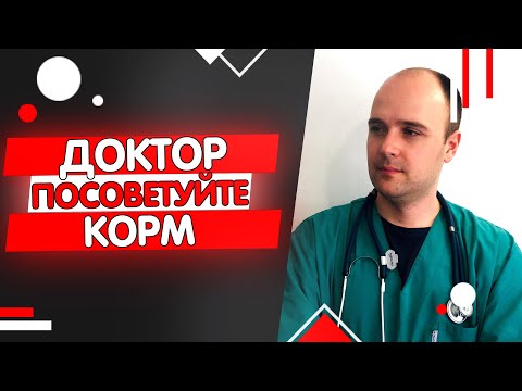 Видео: Какой корм для кошки я советую