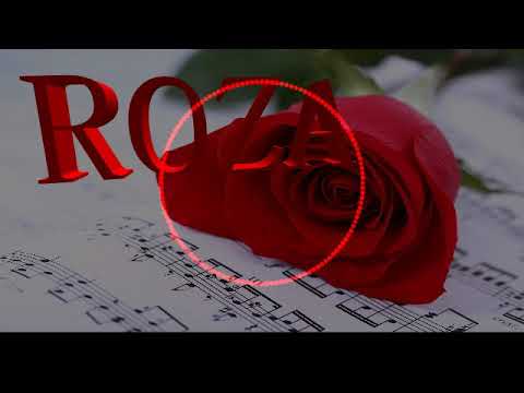 Видео: Роза менсени сагынамын