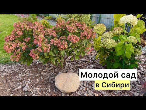 Видео: Первая осенняя прогулка! 🍁Посмотрим то, что редко показываю!