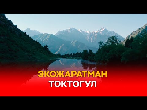Видео: ЭКОЖАРАТМАН ТОКТОГУЛ