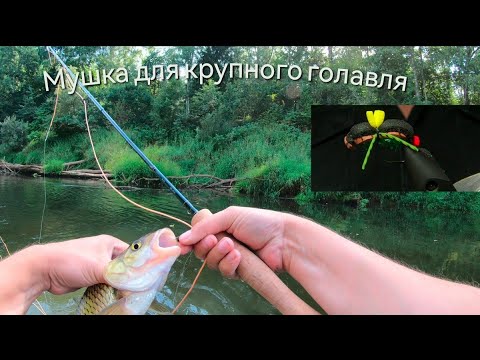 Видео: Мушка для крупного голавля